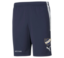 TeamLIGA träningsshorts