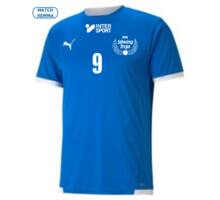 Puma teamLIGA Sr träningst-shirt Blå