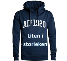 Intersport INT Hoodie M