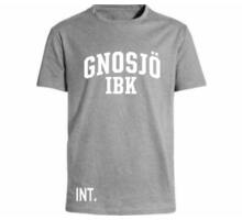 Intersport INT T-shirt JR Grå