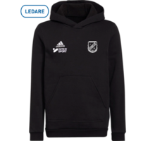 adidas Entrada22 Hoody