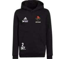 adidas Entrada22 Hoody