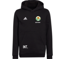 adidas Entrada22 Hoody