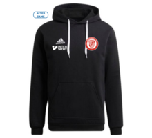 adidas Entrada22 Hoody