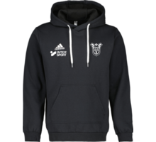 adidas Entrada22 Hoody