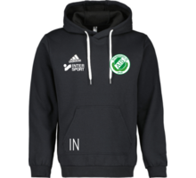 adidas Entrada22 Hoody