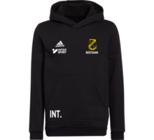 adidas Entrada22 Hoody