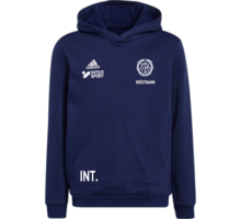 adidas Entrada22 Hoody