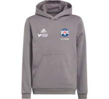 adidas Entrada22 Jr Hoody