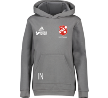 adidas Entrada22 Jr Hoody