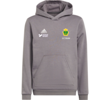 adidas Entrada22 Jr Hoody