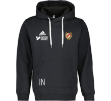 adidas Entrada22 Jr Hoody