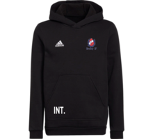 adidas Entrada22 Jr Hoody