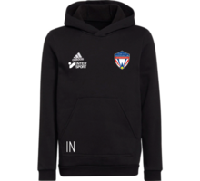 adidas Entrada22 Jr Hoody