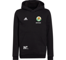 adidas Entrada22 Jr Hoody