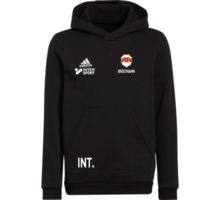 adidas Entrada22 Jr Hoody