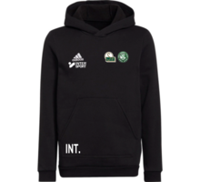 adidas Entrada22 Jr Hoody