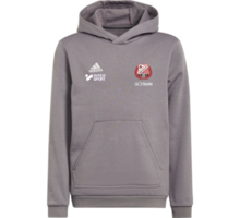 adidas Entrada22 Hoody