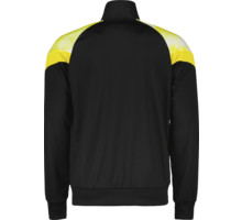 Puma Borussia Dortmund Iconic MCS Mesh M träningsjacka Flerfärgad