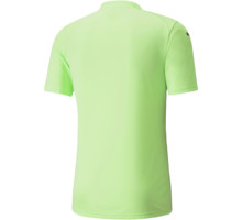 Puma teamGLORY Jersey M träningst-shirt Grön