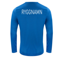 Basic Active Long Sleeve Träningströja