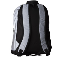 Firefly Fir School Backpack ryggsäck Silver