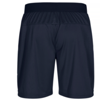 Basic Active shorts