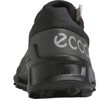 Ecco Biom 2.1 X Country Gore-Tex W walkingskor Svart