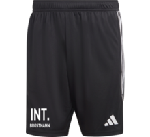 adidas Tiro23 L Tr Shorts