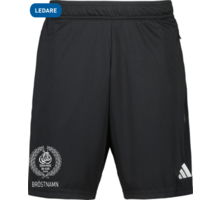 adidas Tiro23 L Tr Shorts