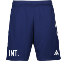 adidas Tiro23 L Tr Shorts