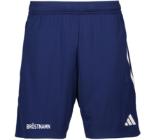 adidas Tiro23 L Tr Shorts