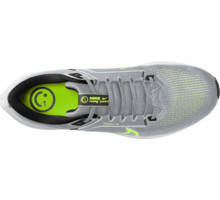 Nike Pegasus 40 M löparskor Grå
