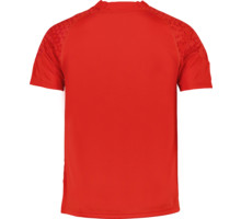 Puma AC Milan M träningst-shirt Röd