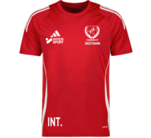 adidas Tiro 24 t-shirt