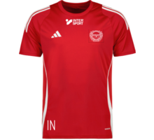 adidas Tiro 24 W t-shirt