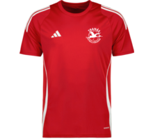 adidas Tiro 24 jr t-shirt