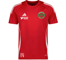 adidas Tiro 24 jr t-shirt