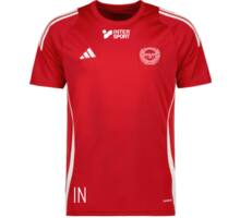 adidas Tiro 24 jr t-shirt Röd