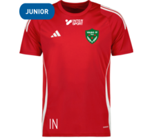 adidas Tiro 24 jr t-shirt