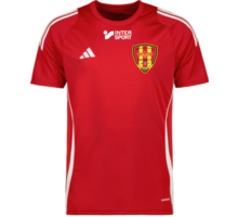 adidas Tiro 24 jr t-shirt