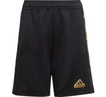Tiro Summer JR shorts