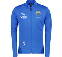 Puma teamGOAL Training Jacket 