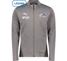Puma teamGOAL Training Jacket  Grå