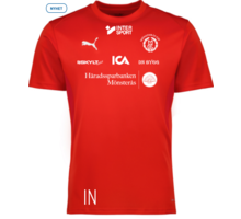 Puma teamGOAL Jersey 