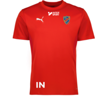 Puma teamGOAL Jersey 