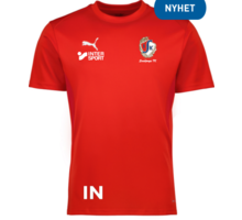 Puma teamGOAL Jersey 