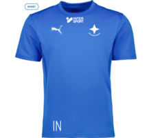 Puma teamGOAL Jersey 