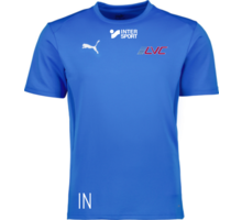 Puma teamGOAL Jersey 