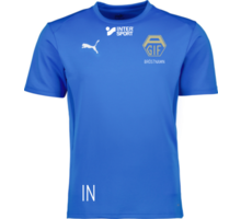 Puma teamGOAL Jersey 